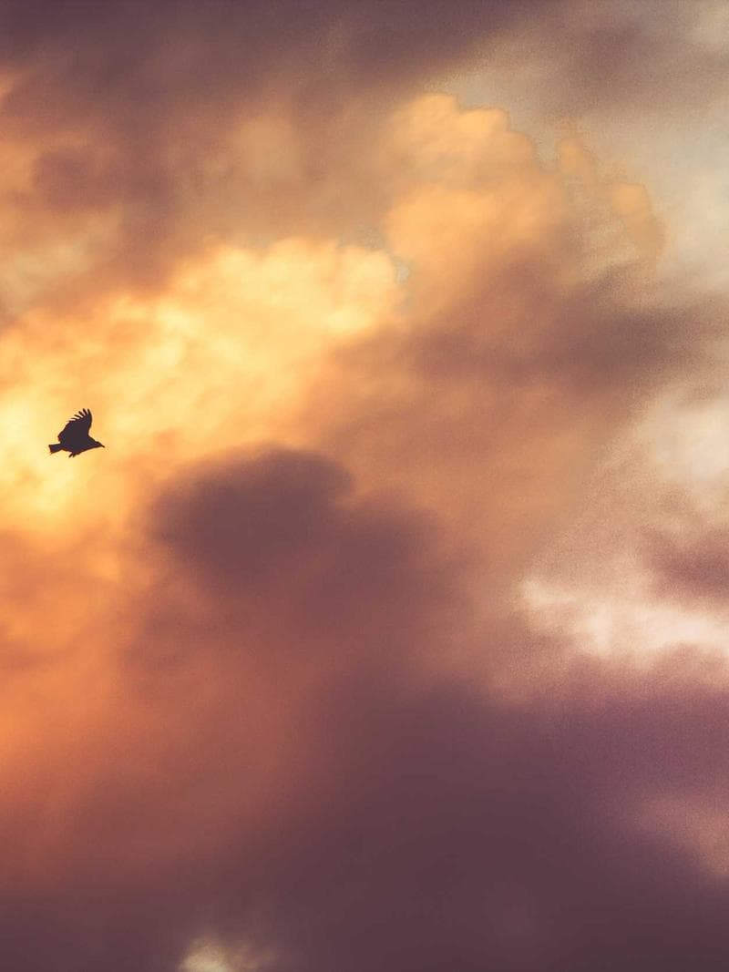 Photographer portrait